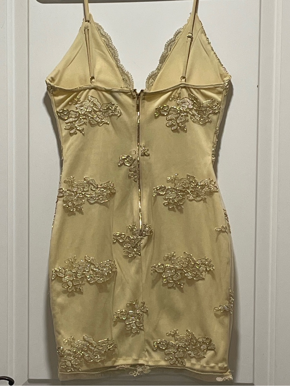 Windsor Bodycon Womens XS? Lace Embroidered Slip Dress Scalloped V-Neck No Tag - Picture 7 of 12